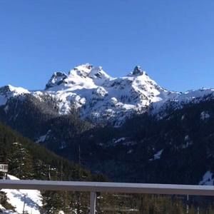 Meet your Posher, Hao